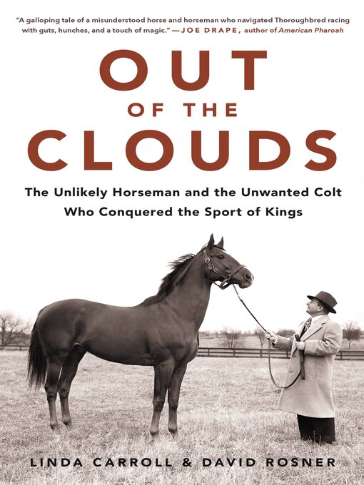 Title details for Out of the Clouds by Linda Carroll - Available